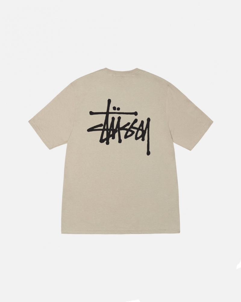 Stussy Basic Stussy Tee - Mens Krótkie Sleeve T-Shirt Khaki | MPLFT19229