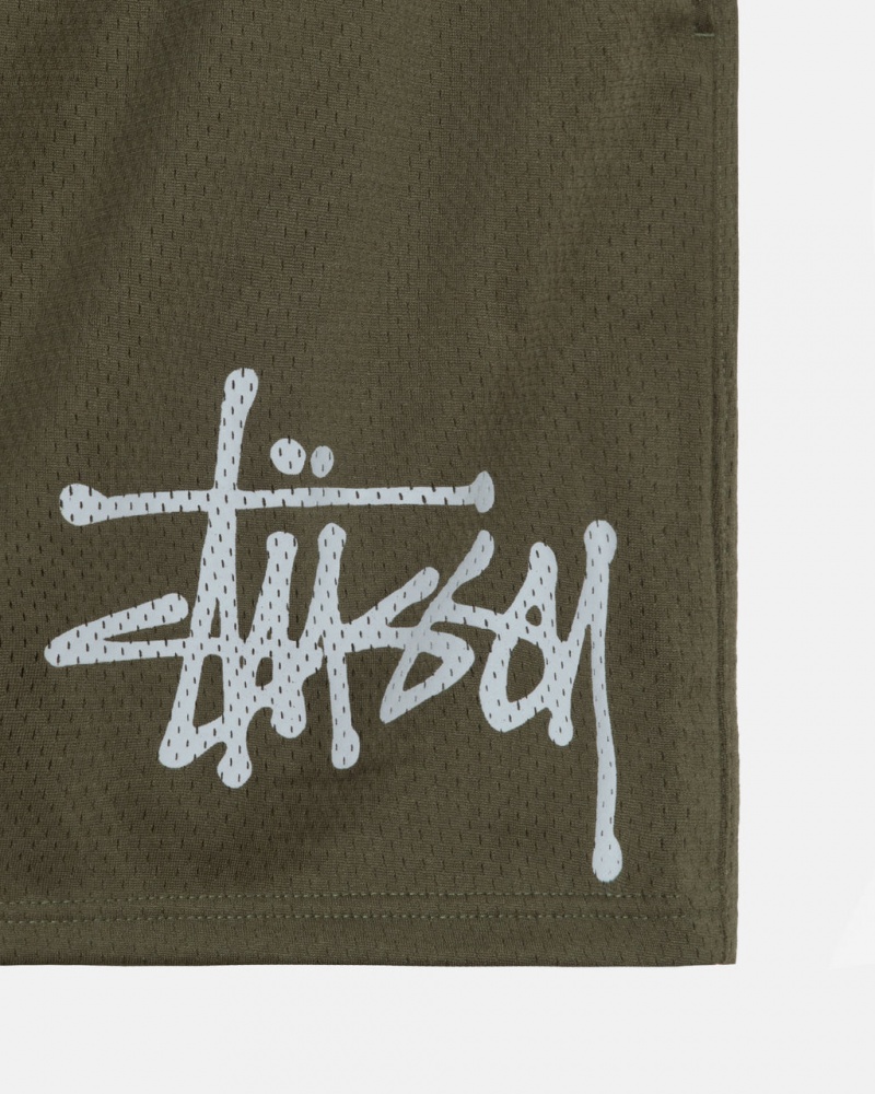 Stussy Big Basic Mesh Krótkie - Men&s Shorts Trunks Oliwkowe | UPLTG85650