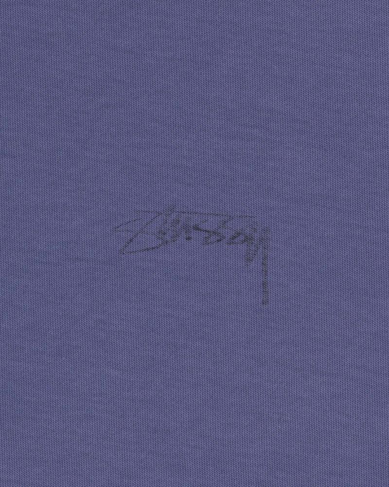 Stussy Lazy LS Tee - Unisex Longsleeve Jasny Niebieskie | MPLFT19761