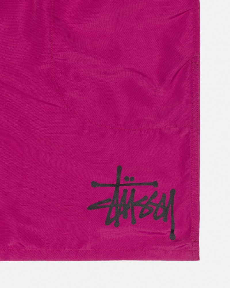 Stussy Wody Krótkie Big Basic - Unisex Shorts Trunks Różowe | PLCIF48502