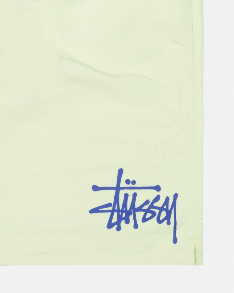 Stussy Wody Krótkie Big Basic - Unisex Shorts Trunks Głęboka Zielone | ZPLMJ92220